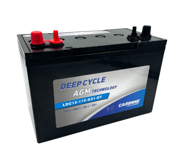 Batterie LEOCH AGM Carbone 12V - 115 AH - LDC12-115